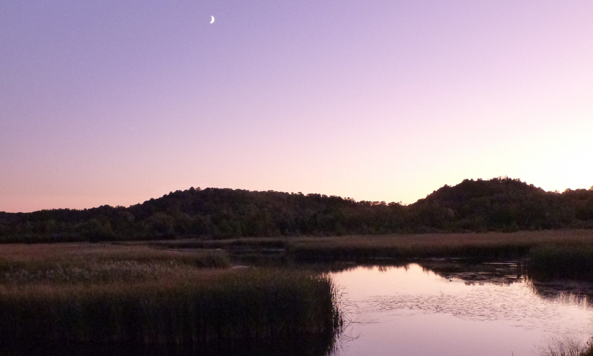 MSU Hydrogeology Lab Department of Earth and Environmental Sciences